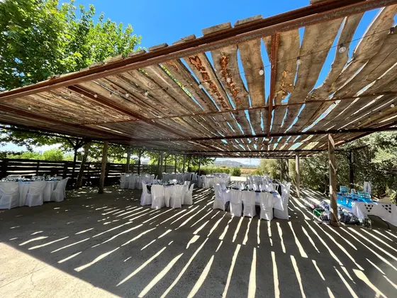 Mesas redondas con sillas vestidas bajo una pérgola de madera para un banquete al aire libre